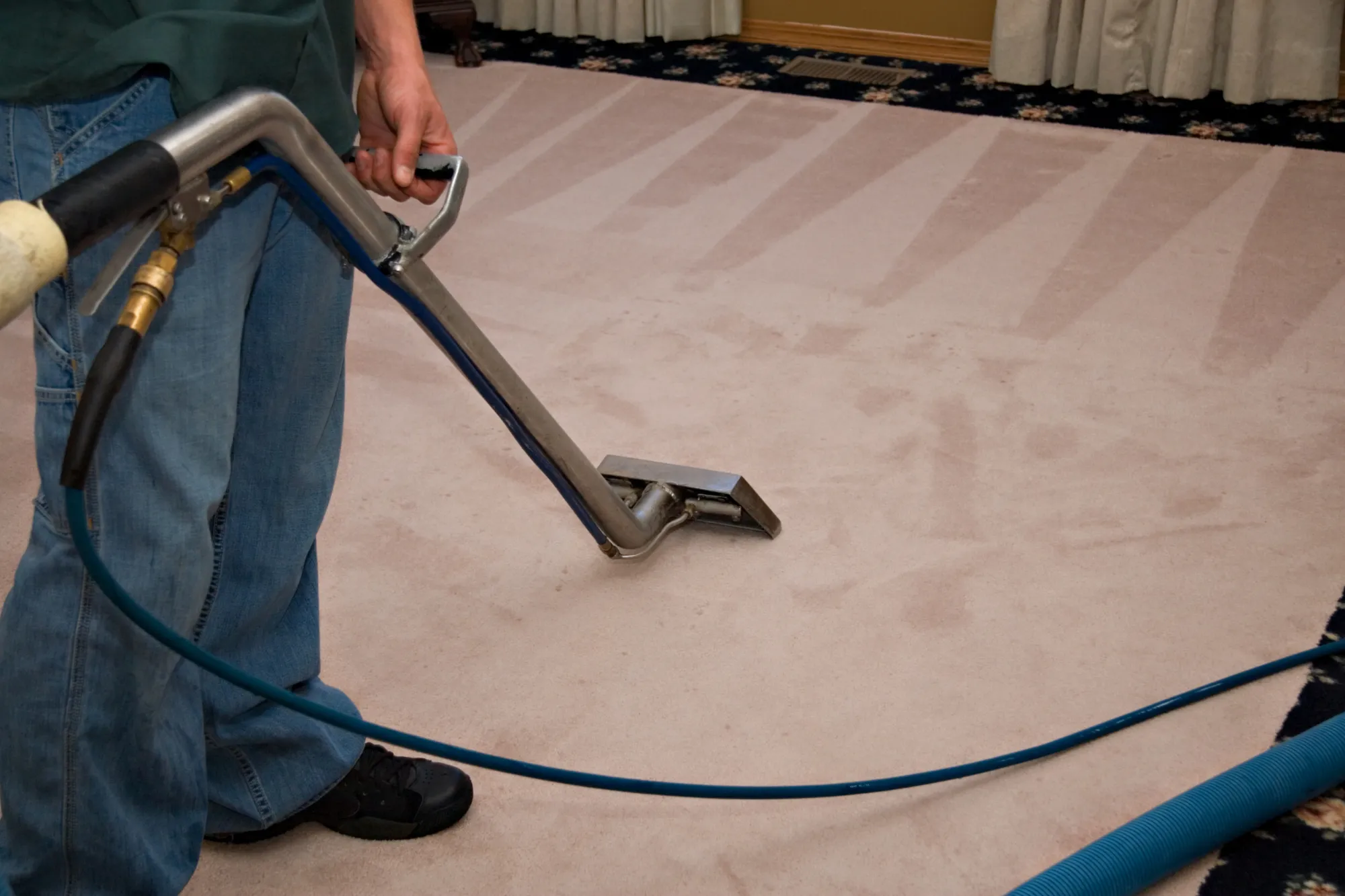 carpet steam cleaning