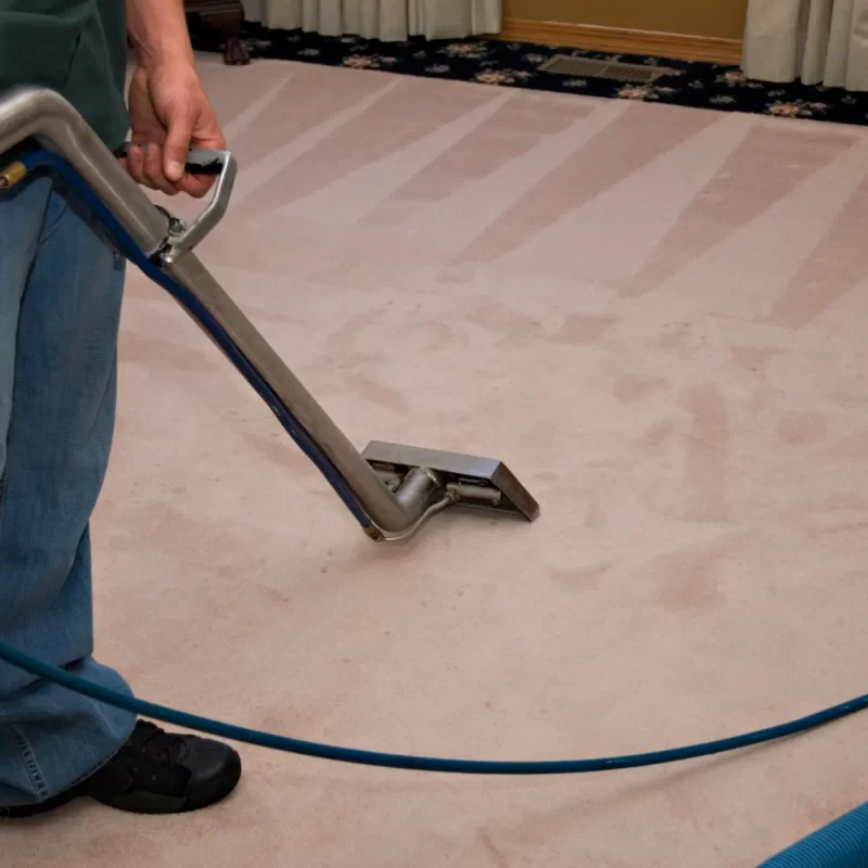 carpet steam cleaning